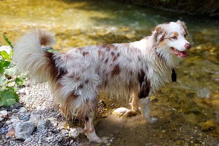 Abenteuer mit Nala